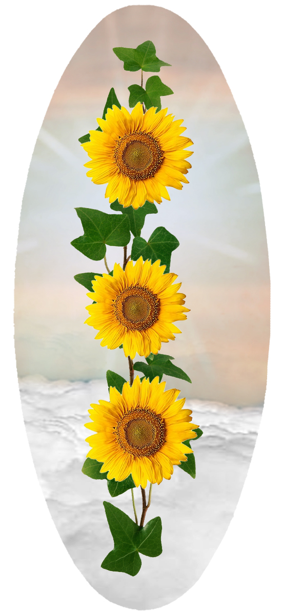 A18 BZ Sky Sunflower PROOF